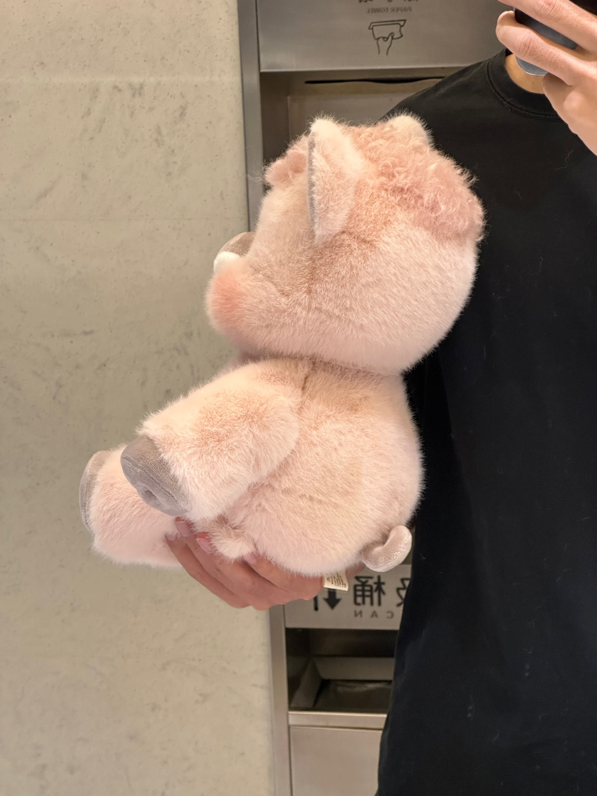 Running Wild Boar Stuffed Animal