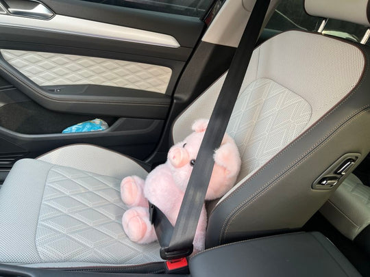 Review from Cindy Aaron
