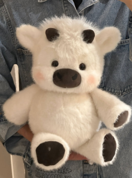 image comparison after