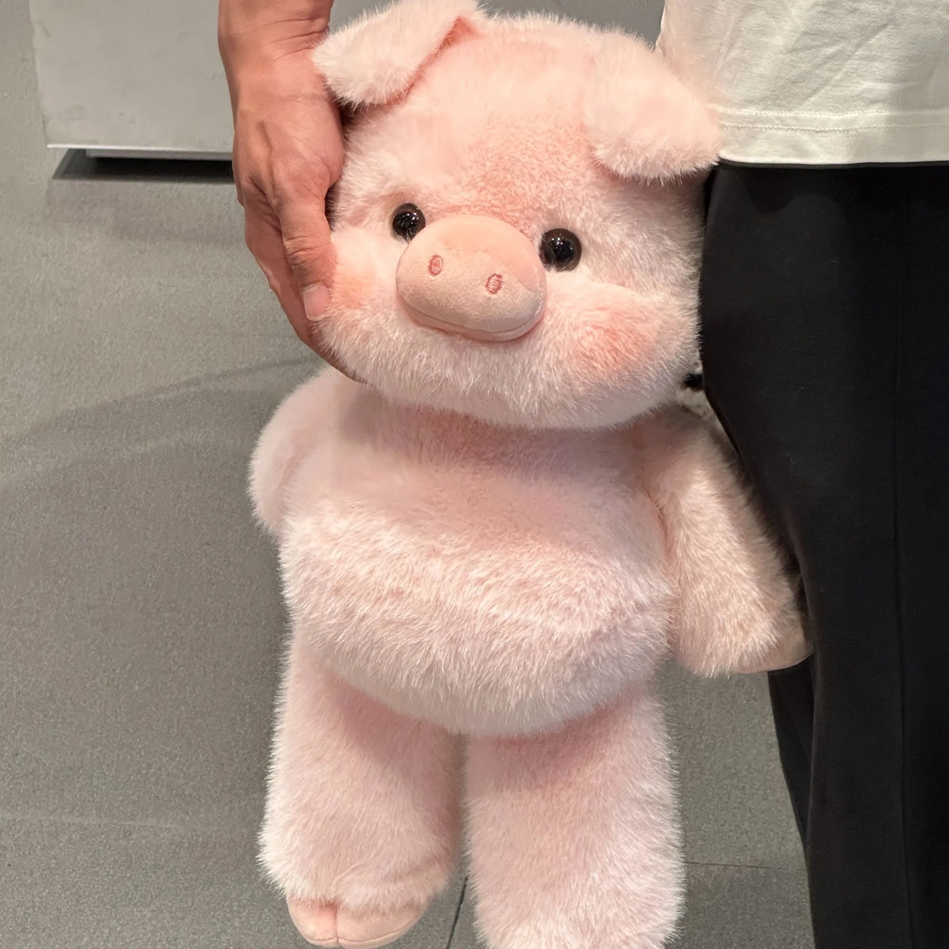 Cute-Mini-Pig-Stuffed-Animal-12 - Cubforest